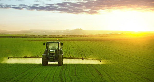 Alberta ag sector jobs down 18.7% in four years: ATB