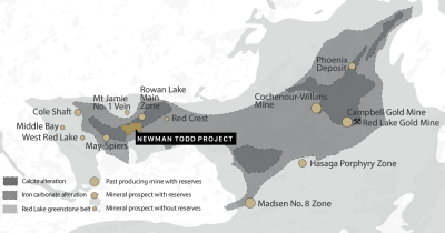 Trillium Gold Intersects 15.41 grams per tonne gold over 7.05m at Newman Todd