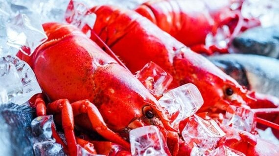 History shows a path to resolve lobster fisheries dispute