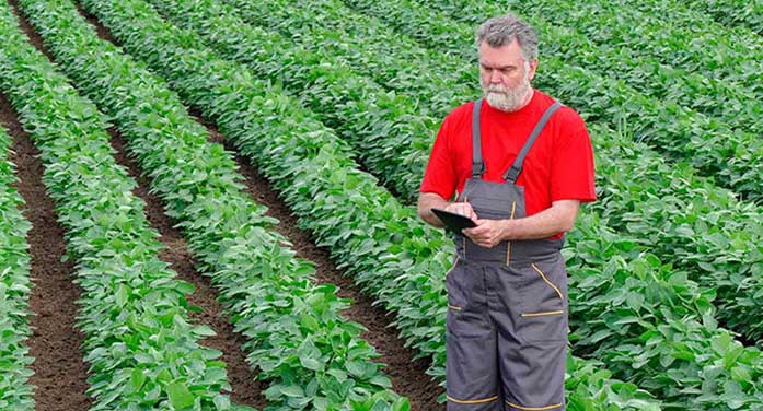 farmer agriculture field crop technology